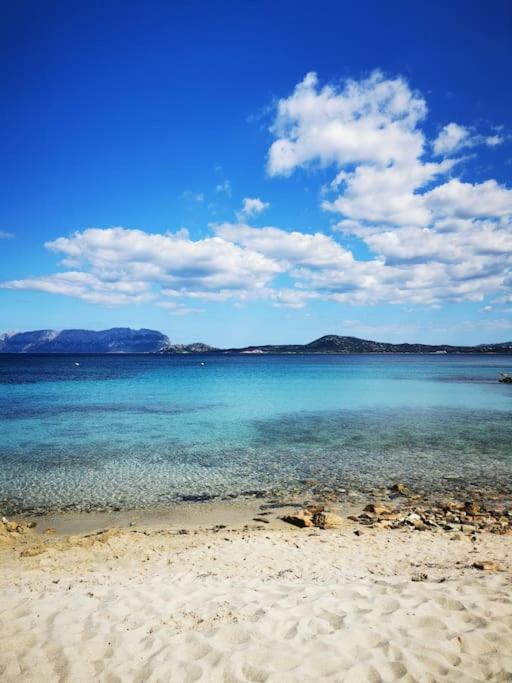 Sealine Villa With An Amazing View Of Tavolara Olbia Buitenkant foto